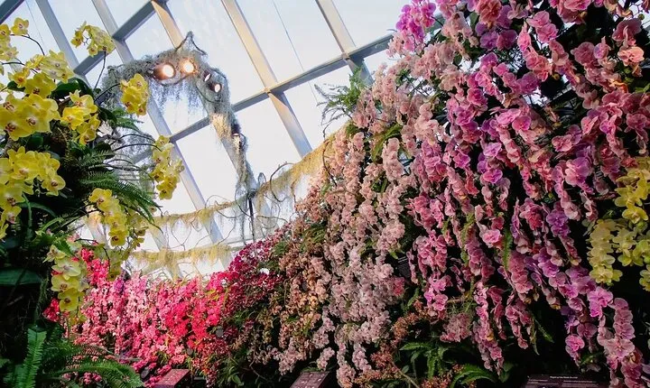 Gardens by the Bay Tickets (Flower Dome+Cloud Forest)