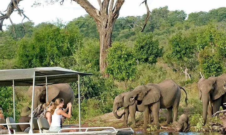 Chobe Full Day Trip