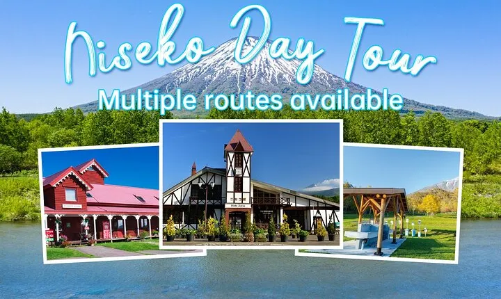 Hokkaido Niseko Ski Day Tour（Depart from Sapporo）