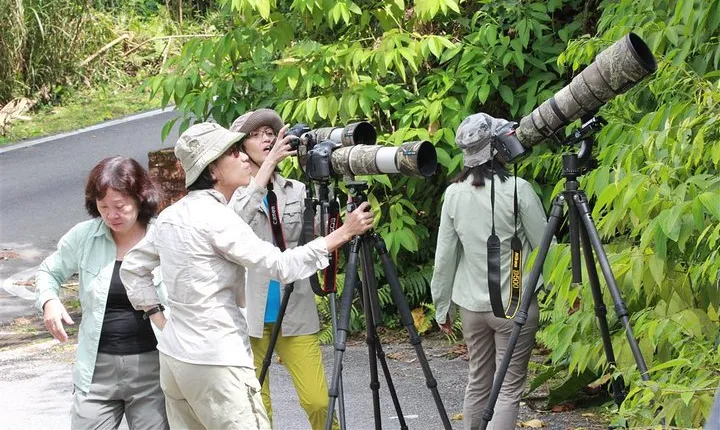 Fraser's Hill Bird-Watching & Nature Sightseeing Tour from Kuala Lumpur