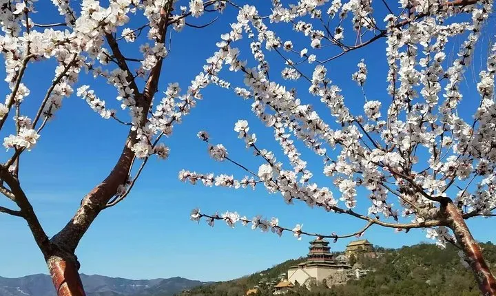 Mutianyu Great Wall and Summer Palace Day Trip with English Speaking Driver