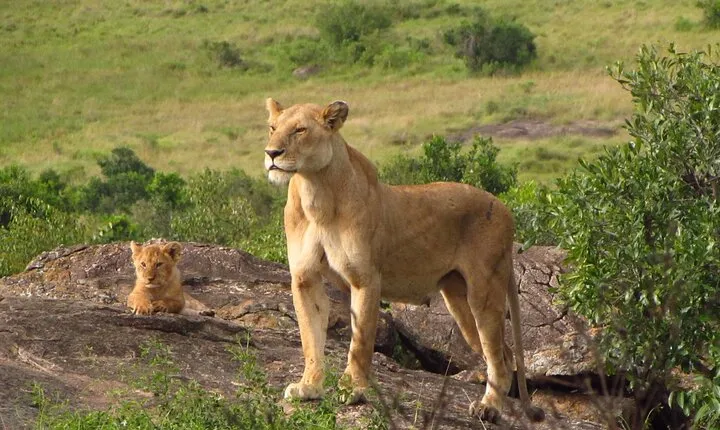 7 Days Kenya Adventure