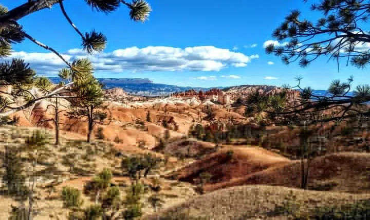Scenic Tour of Bryce Canyon