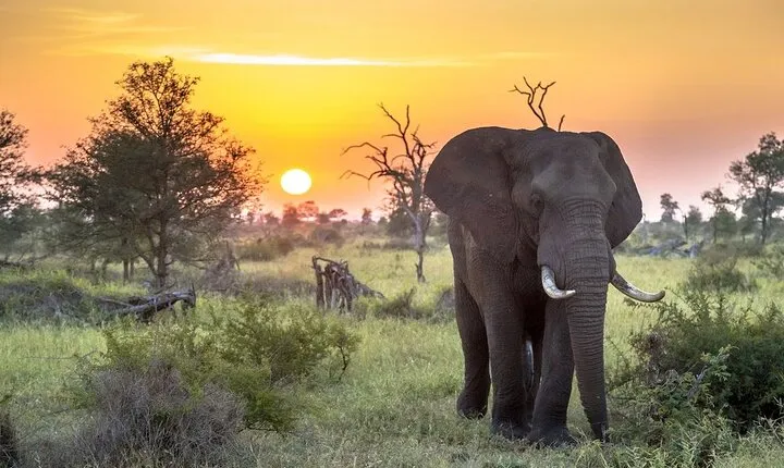 3 Day Kruger National Park Safari & Panorama Route