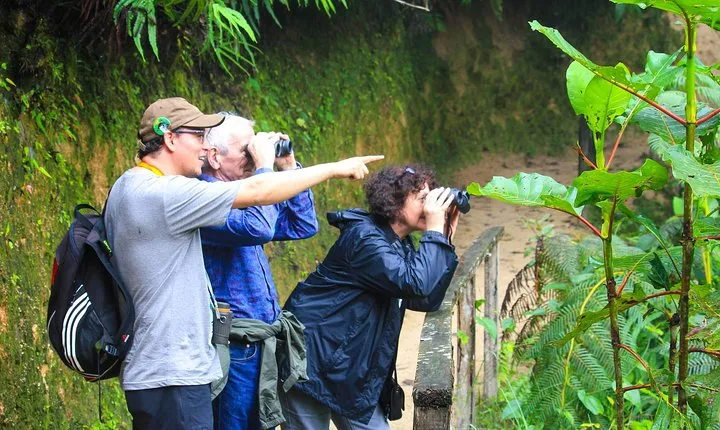 Birdwatching Tour, Via Gualaceo to the Eastern slope from Cuenca
