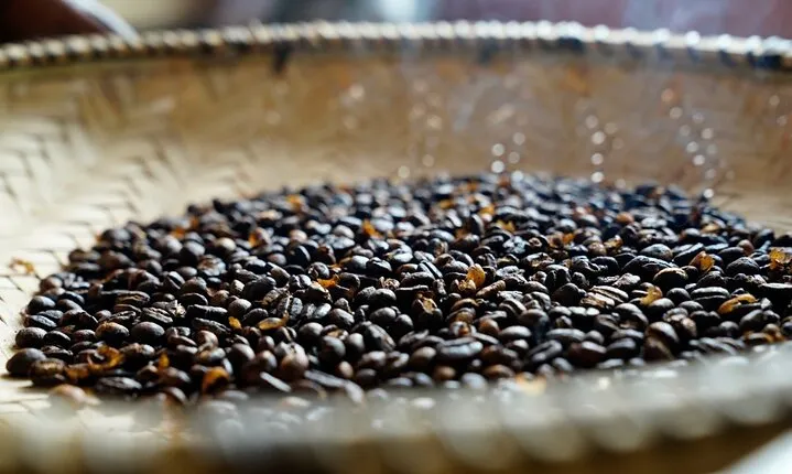 Private Meru Coffee Tour in Nkoaranga