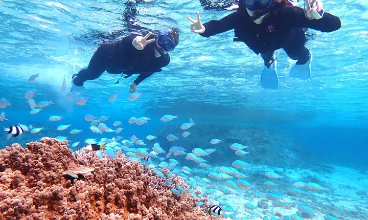 [Okinawa Miyako] Natural Aquarium! Tropical Snorkeling with colorful fish!