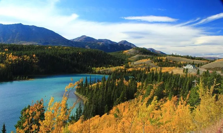 Skagway Shore Excursion: Yukon Discovery Tour