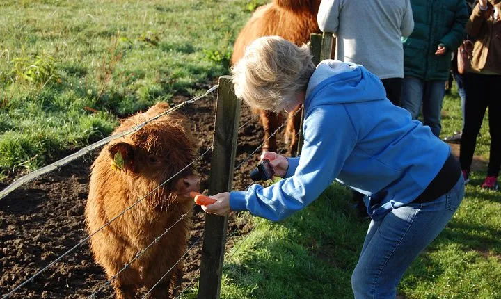 5-Day Best of Scotland Tour from Edinburgh