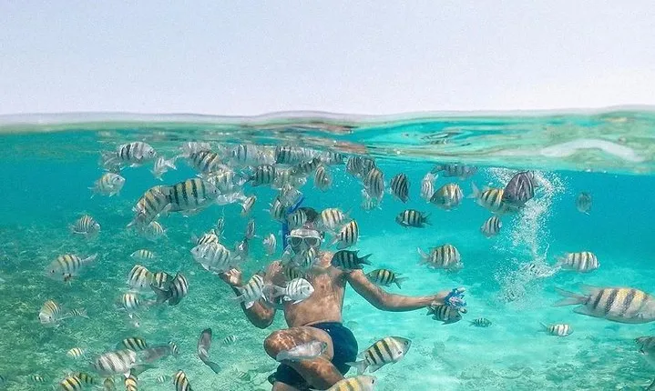Tour Rosario Islands Mas Plankton