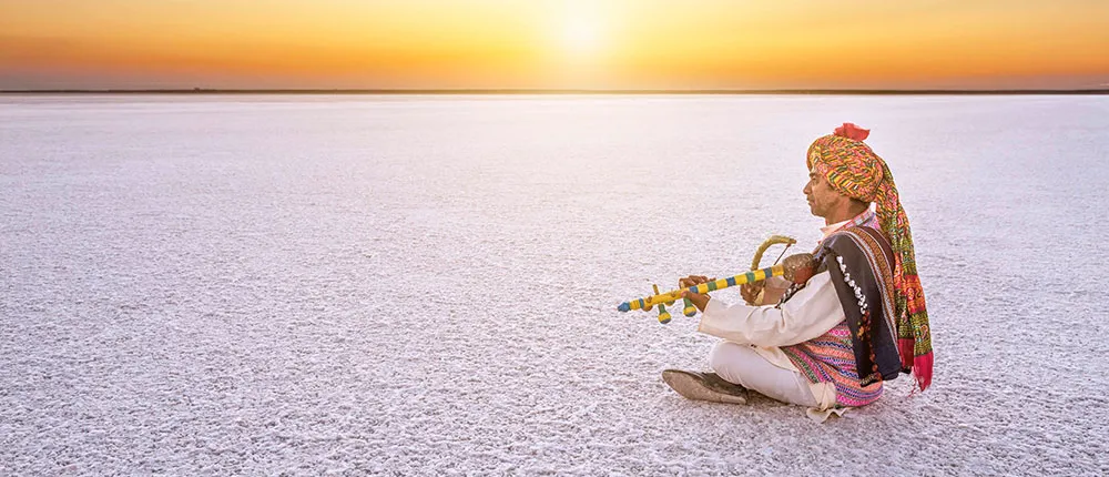 Gujarat Archaeological & Natural Wonders - Extension Tour from Ahmedabad