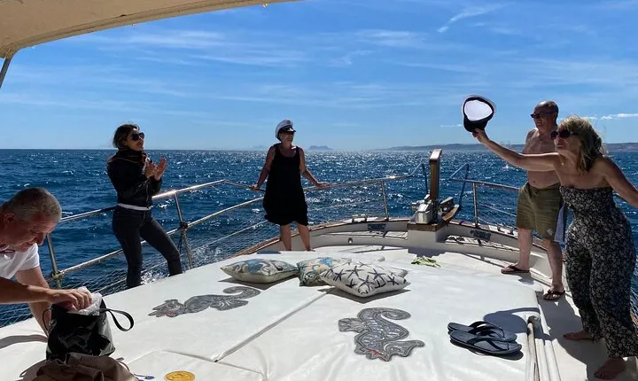 2-hour excursion in search of dolphins/drinks and snacks