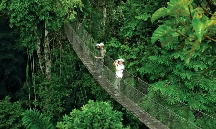2 Days Joined group Safari in Lake Manyara and Tarangire National Park