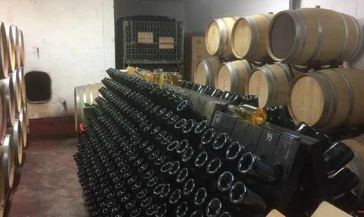 Zinfandel Wine Tour
