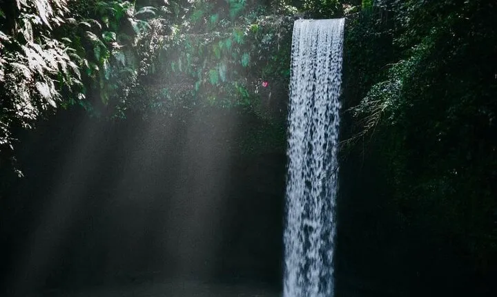 Ubud Hidden Waterfalls and Rice Terrace Tours