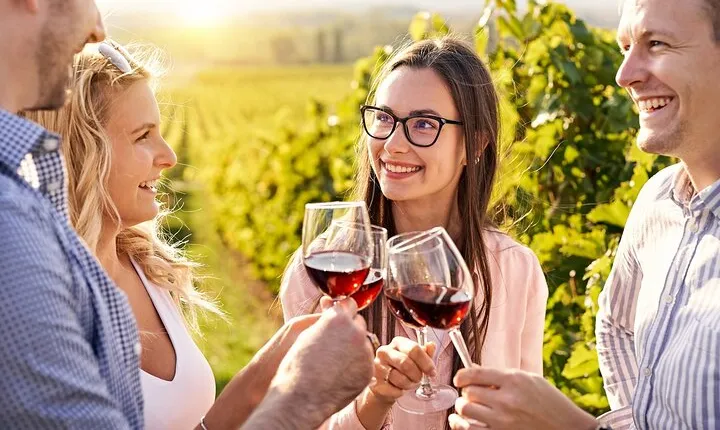 Willamette Valley Full-Day Wine Tour from Portland