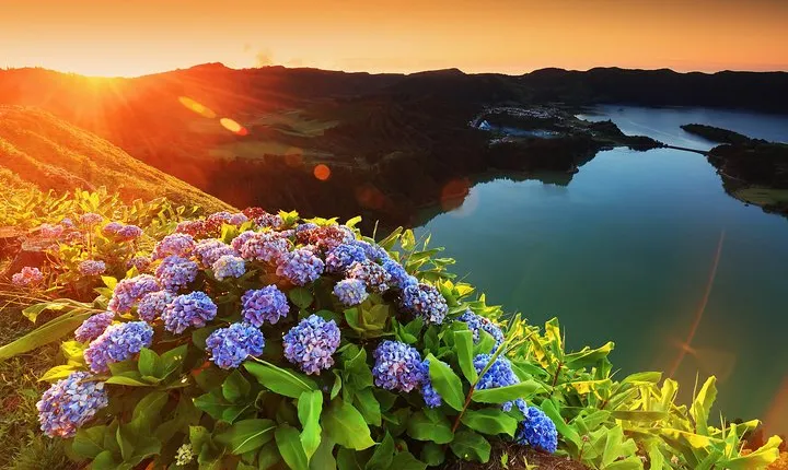 Guided Tours Sete Cidades and Lagoa do Fogo Full day