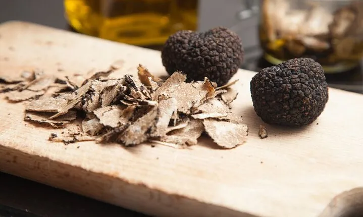 Truffle Search with Lunch or Dinner in Tuscany