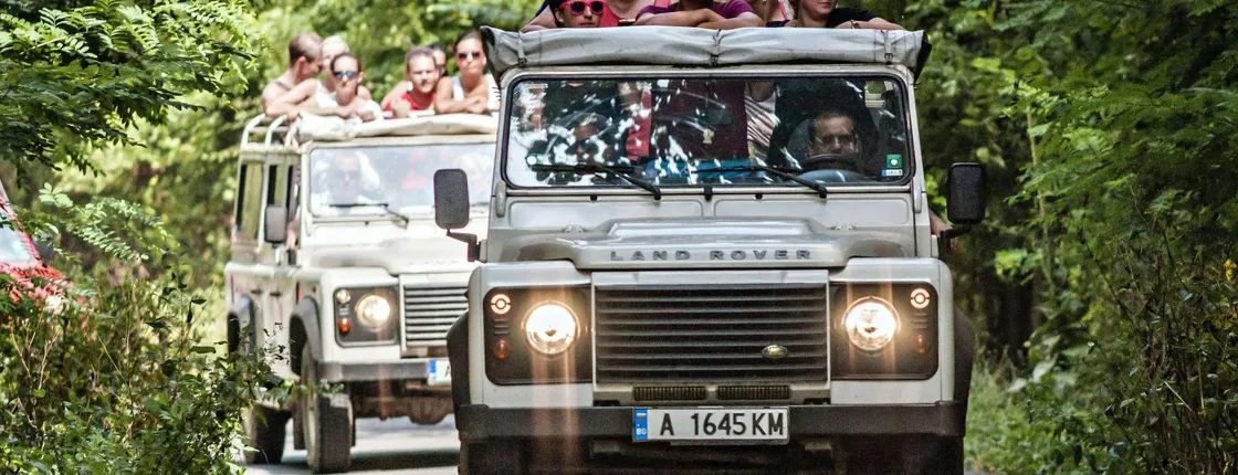 Into the Wild 4x4 Tour