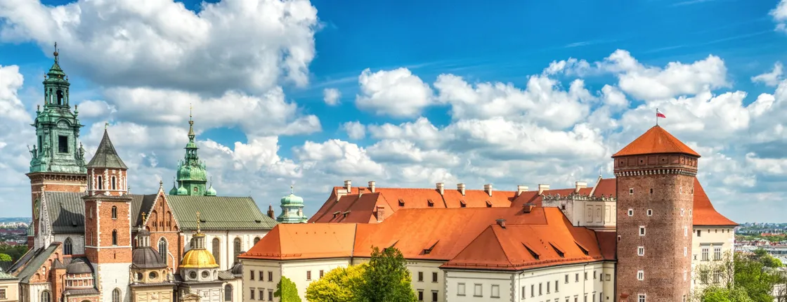 Wawel Hill audioguided tour