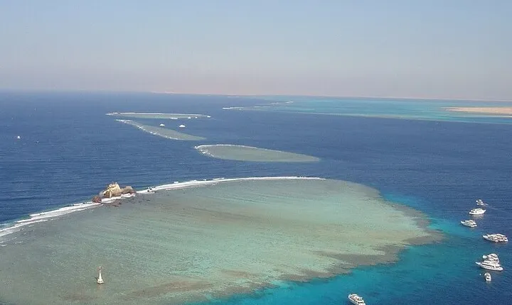 Full Day Snorkeling & Lunch on Tiran Island with Transfer Sharm