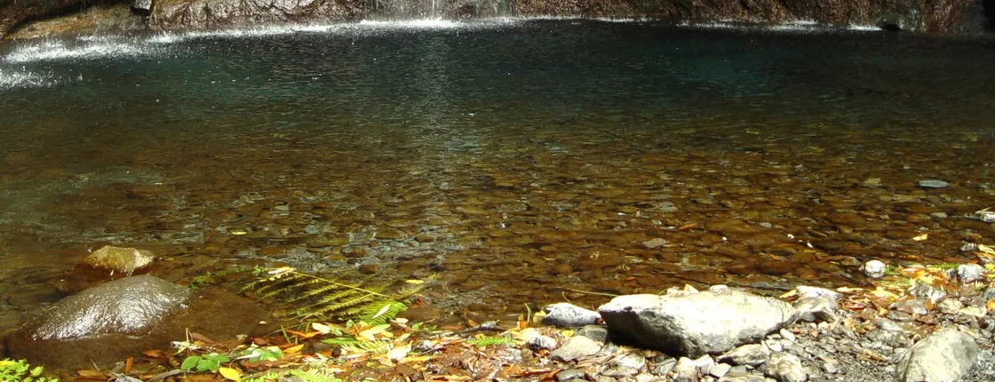 Rabaçal Valley Walking Tour