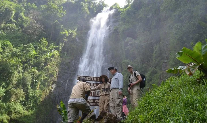 Mount Kilimanjaro day trip trekking