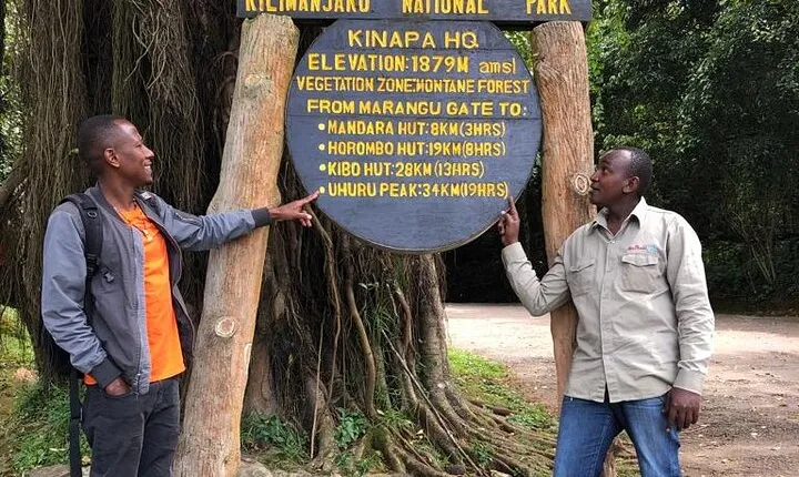 6 Hours Kilimanjaro Day Hike to Mandara Hut and Maundi Crater