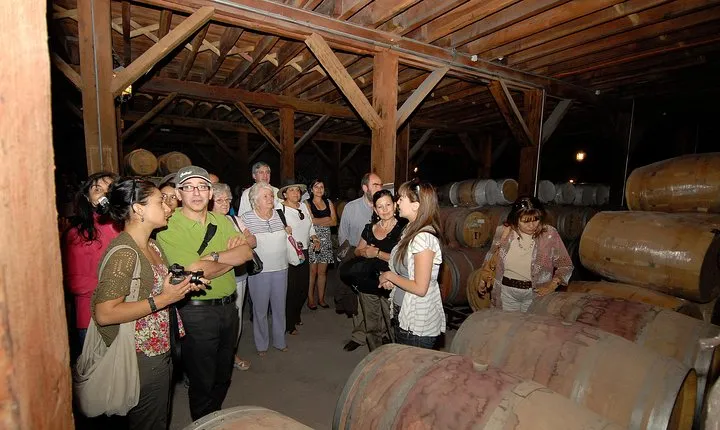 Semi-Private Premium Wine Tour at Santa Rita Winery