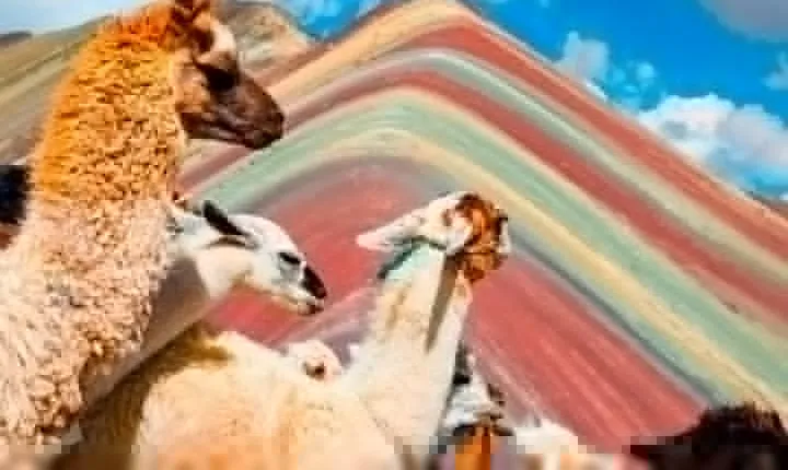 Excursion to Rainbow Mountain Full Day.