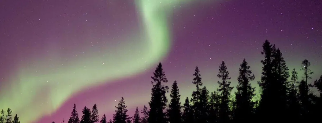 Northern Lights nature tour by car