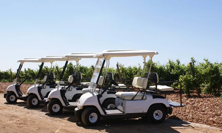 Wine tourism: Wine tasting