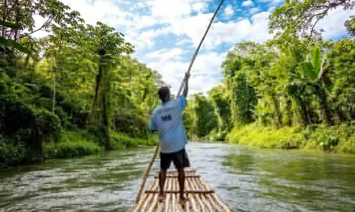 Full Day Martha Brae Rafting & Luminous Lagoon Tour with Dinner