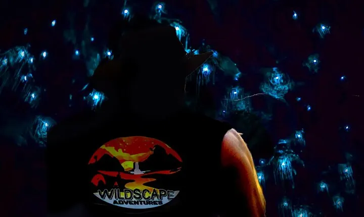Blue Mountains Hiking Glow worms Cave Wildlife Spotlighting Night Adventure