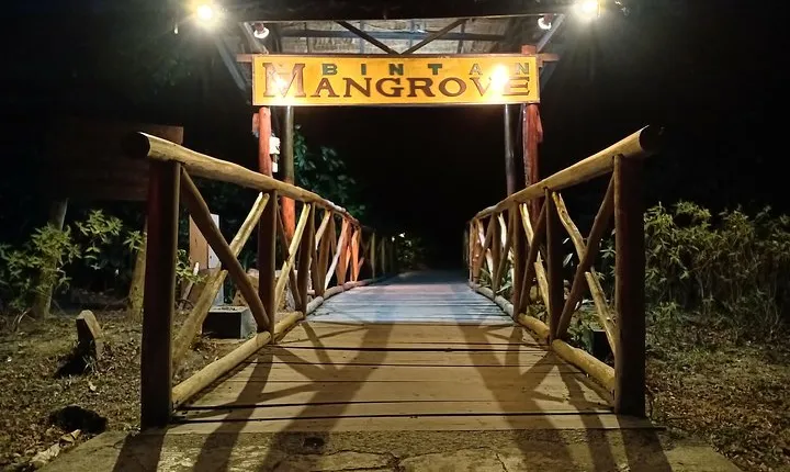 Bintan Fireflies Discovery Tour