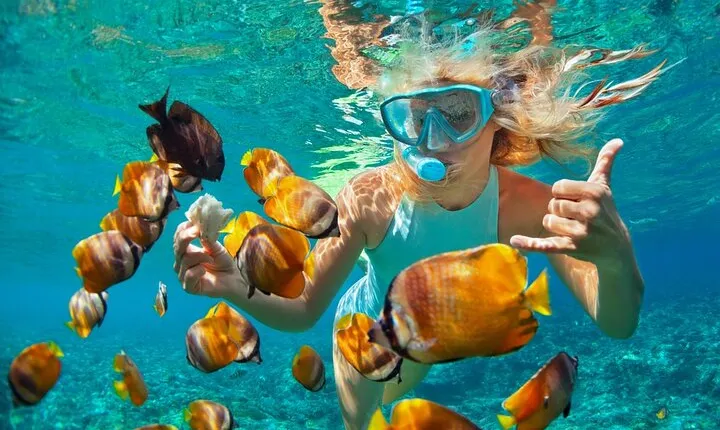 From Sanur or Ubud: Snorkeling at Blue Lagoon by Group Transfers