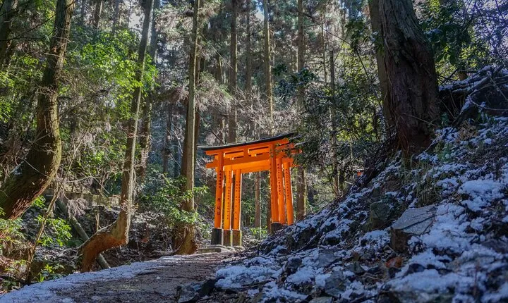 Kyoto: Fushimi Inari Hidden Hike (Private)