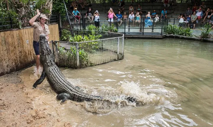 Hartley's Crocodile Adventures General Entry Ticket