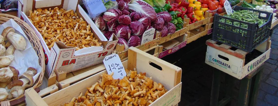 Bolzano street food tour
