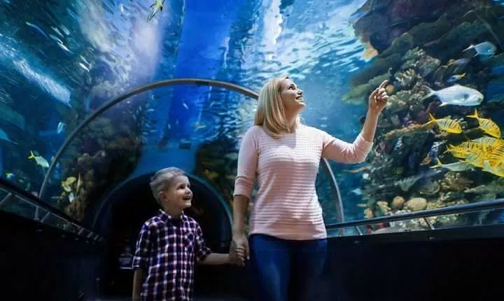 Aquaria KLCC E-Ticket With Transfer