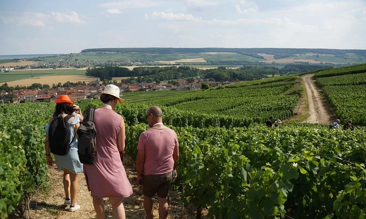 Gourmet walk in the heart of the vineyards with Champagne tasting near Epernay