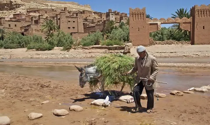 6 days tour from Casablanca to Marrakech via imperiale cities And Sahara Desert