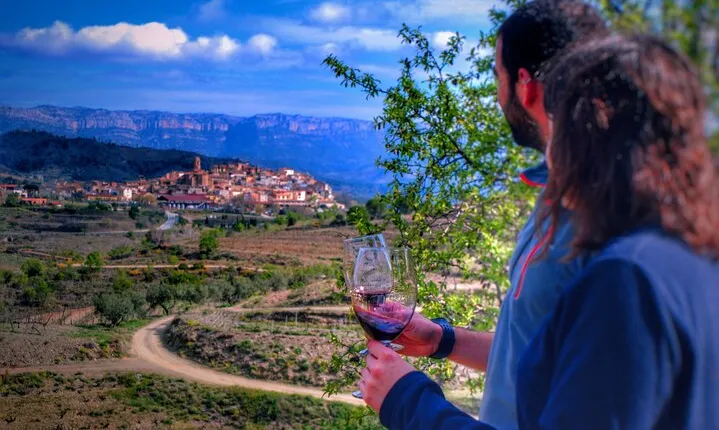 Private Wine and Oil Tour in the Priorat Wine Region