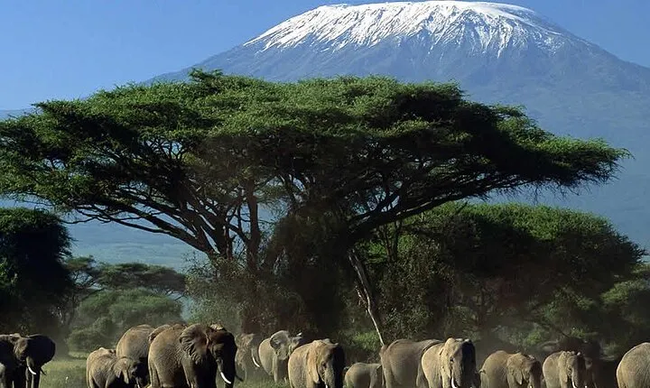 2 Days 1 Night Private Tour to Amboseli National park 4*4 Vehicle