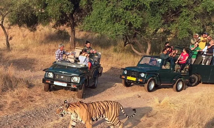  7-Days Golden Triangle and Ranthambore Safari Tour