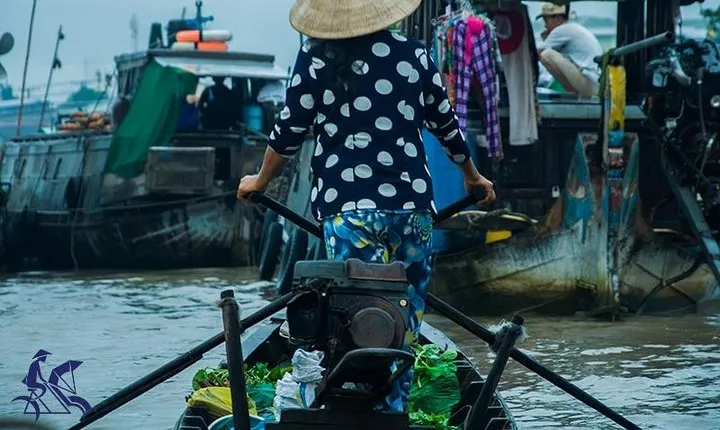 Private tour - The best of Mekong Delta 2-Day Tour from Saigon