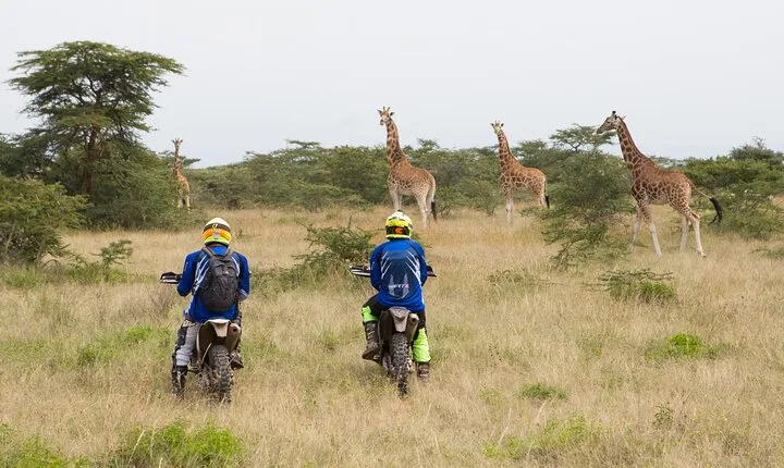4 days incredible wildlife off-road motorbike tour in Soysambu Conservancy