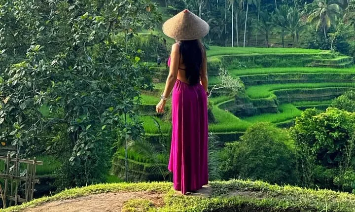 Ubud Full Day Highlights Guided Tour-All Inclusive