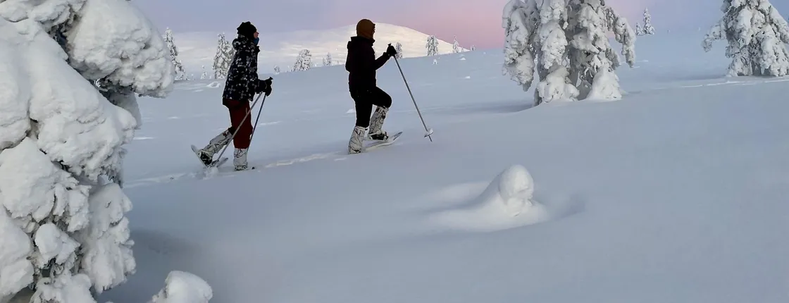 Snowshoeing tour in Pallas fells national park from Levi