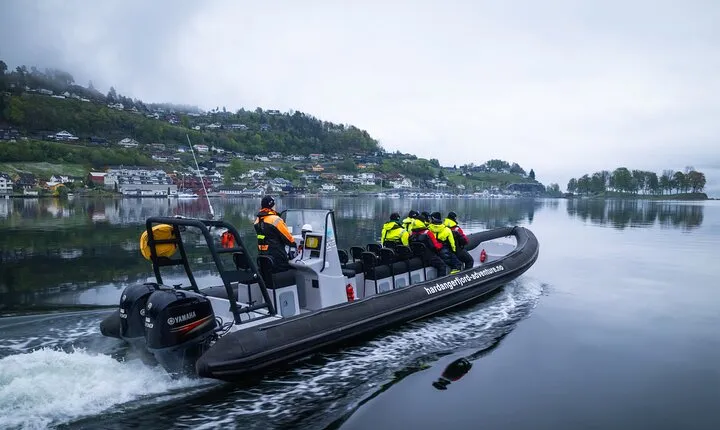 Scenic Hardangerfjord & Fyksesund RIB adventure from Norheimsund